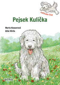 Obrázek produktu