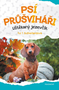 Obrázek produktu